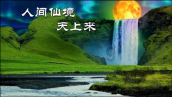赛马大亨8