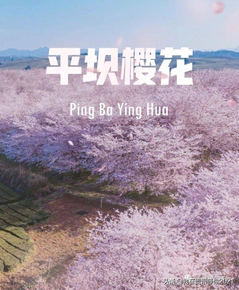 北京工业大学校园内有哪些地标性建筑？游戏画面