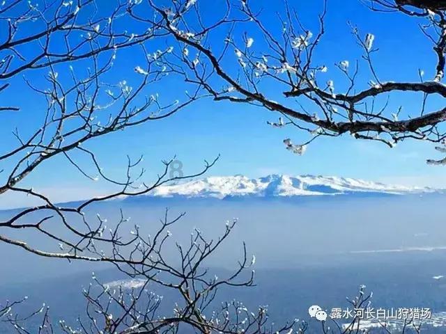 吕梁市文化市场综合行政执法队队长王新平接受审查调查