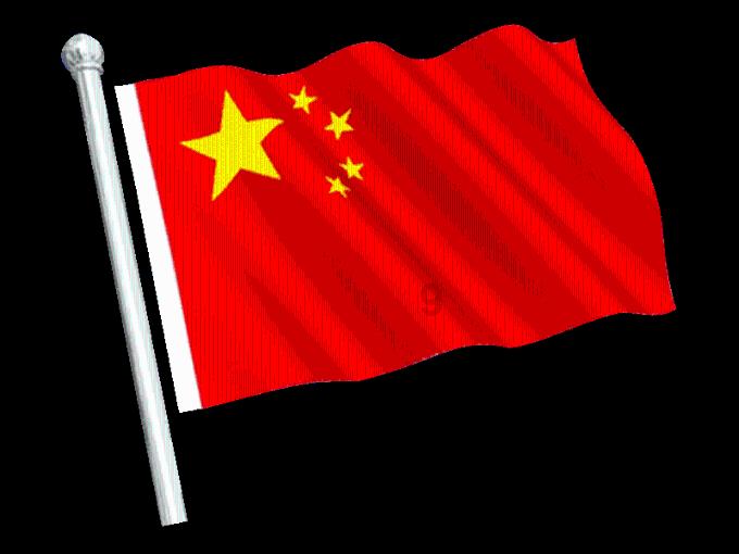 奔跑的兔子