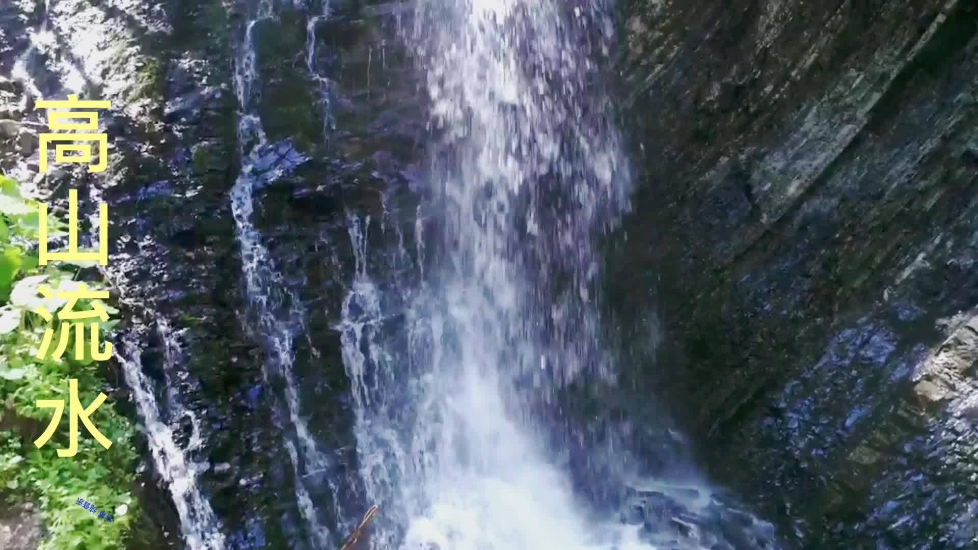 上海滩青帮各行各业的保护费成就了现在的很多业务公司