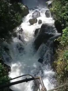 救援淘气的小狗