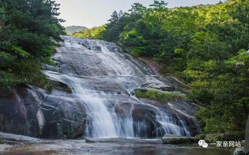东兴:特色产业助力乡村振兴