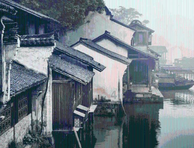 救援小肥兔